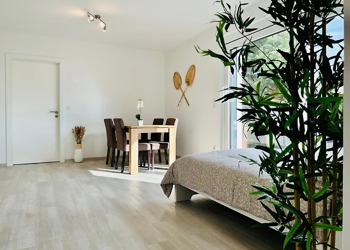 Modern With Balcony & Free Parking