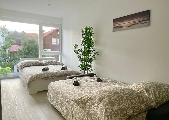 Modern With Balcony & Free Parking